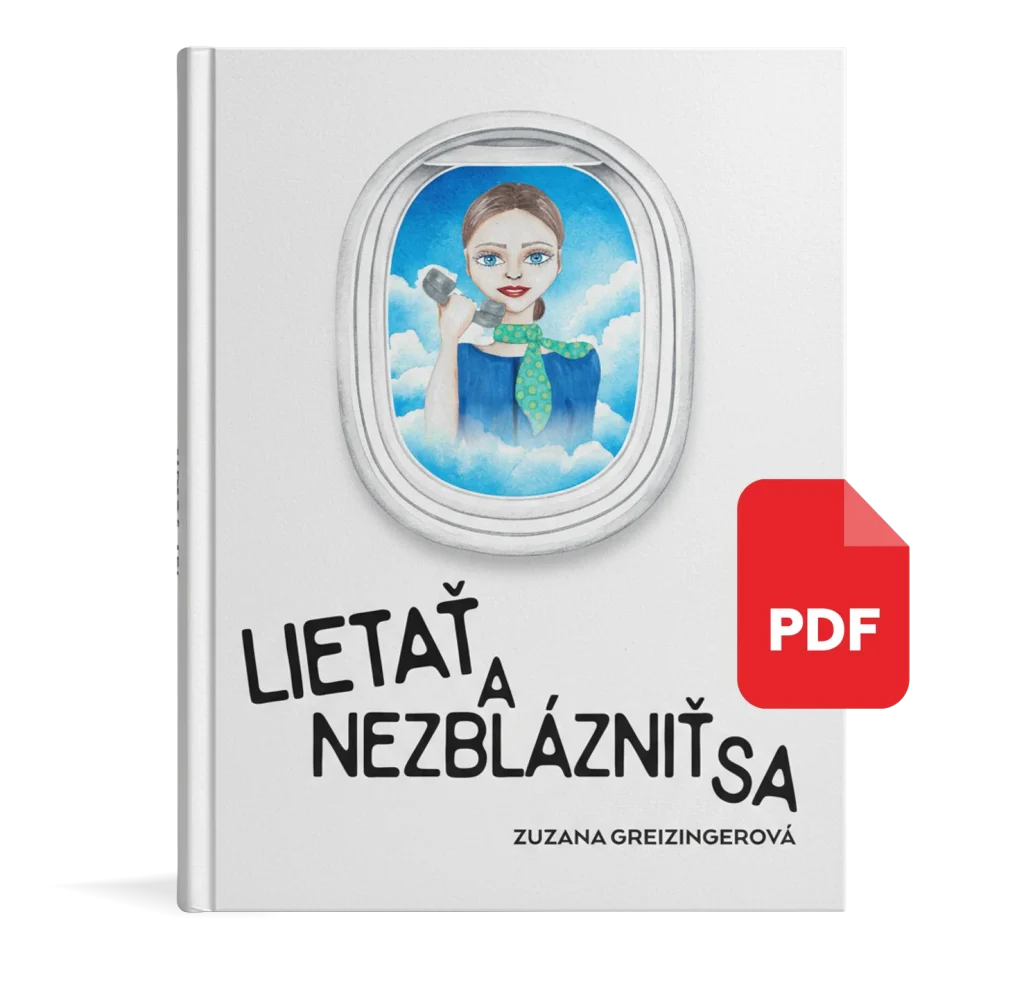 Lietať a nezblázniť sa - Ebook